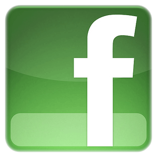 facebook-logo-of-delfin-verde-by-hueskye-d2xq3gv-26966